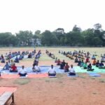 மரங்களோடு உரையாடிய மனிதன் – ஒரு மறக்கப்பட்ட அதிர்வியல் மாயை