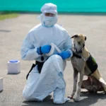 சக்தியின் ஓட்டம்: உடலுறவின் உளவியல் மற்றும் ஆன்மீக பரிமாணம்