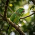 Cosmic Radiation மற்றும் கிரகங்கள்: மனித ஆரோக்கியத்திற்கு வழிகாட்டும் அதிர்வுகள்”